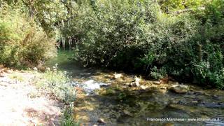 stello marchesa di Cassibile-10-02-2015 19-58-11